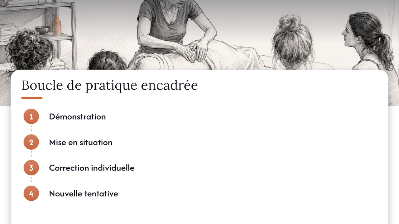 Étapes successives de la pratique encadrée